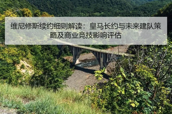 wei-ni-xiu-si-xu-yue-xi-ze-jie-du-huang-ma-zhang-yue-yu-wei-lai-jian-dui-ce-lve-ji-shang-ye-jing-ji-ying-xiang-ping-gu-2-823.jpg
